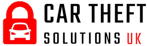 Car Theft Solutions logo