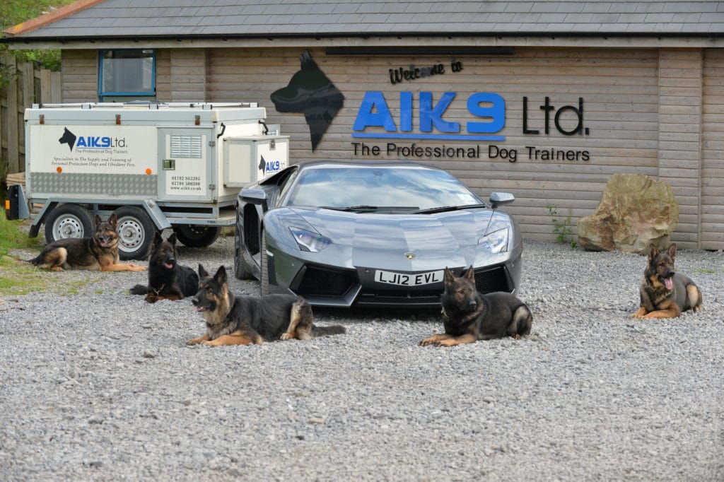 A1K9 dog trainers